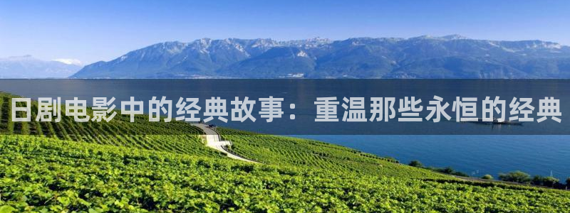 新闻图片
